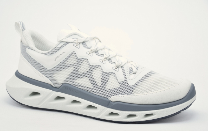 Ecco Ecco Biom 720 Men