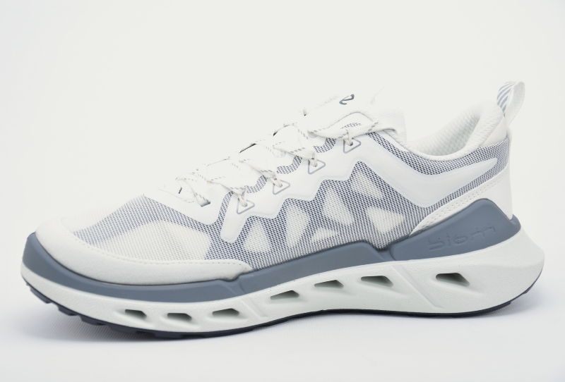 Ecco Ecco Biom 720 Men