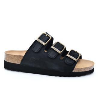 Scholl 15143200