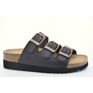 Scholl 15143204